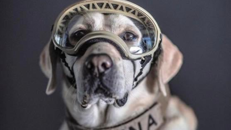 Frida