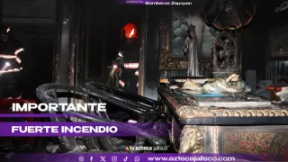 WhatsApp Image 2025-11-15 at 9.16.20 AM.jpeg