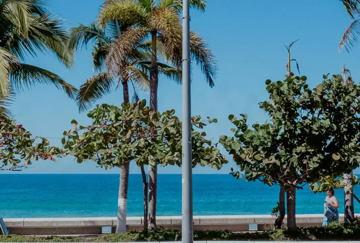 Se mantiene ambiente soleado en Puerto Vallarta; esta será la temperatura máxima hoy 22 de mayo