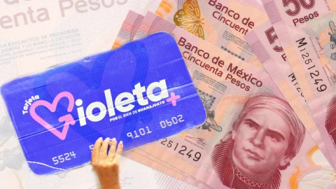 ¿Cómo tramitar la tarjeta violeta en Guanajuato?