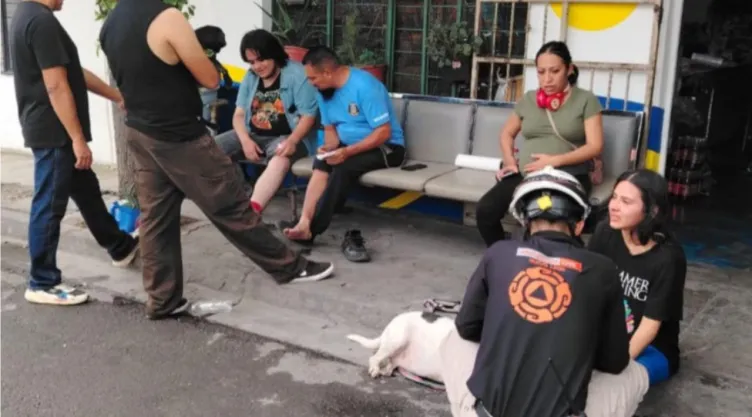 Ataque de abejas en Monterrey deja 8 personas y 3 perros lesionados
