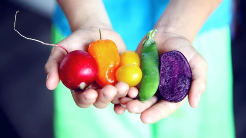 Qué productos le exporta México a Estados Unidos?