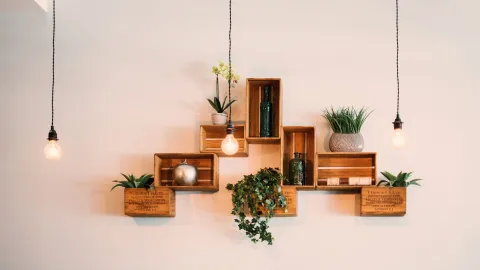 plantas de interior