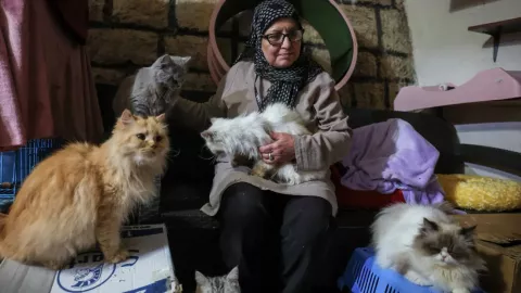 Cat Lady en Líbano