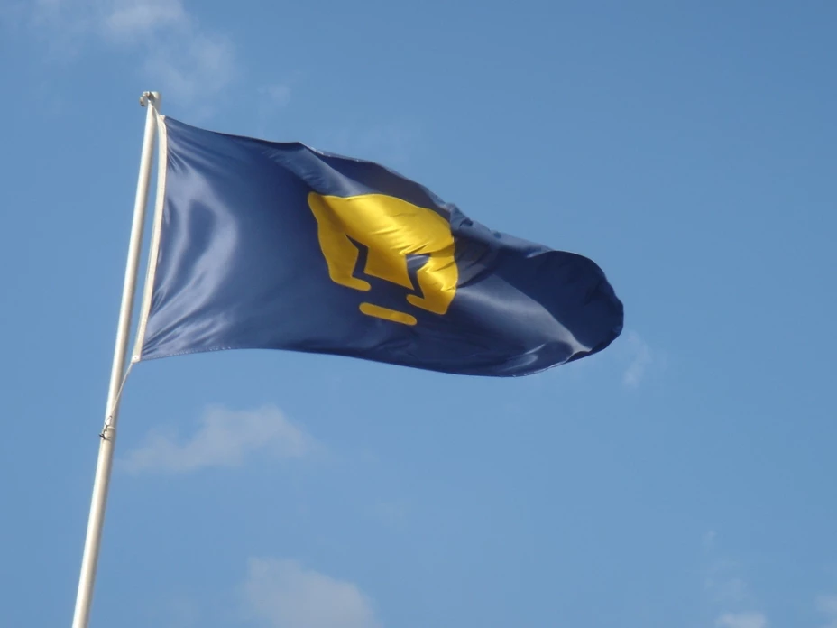 Encuentro entre Pumas y Águilas