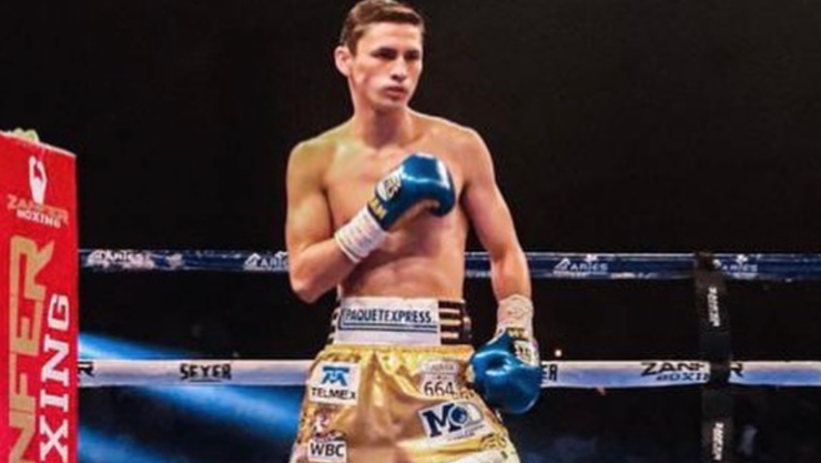 David Picasso en el ring