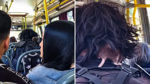 joven rata hombro camión Celaya video