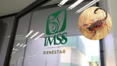 imss bienestar