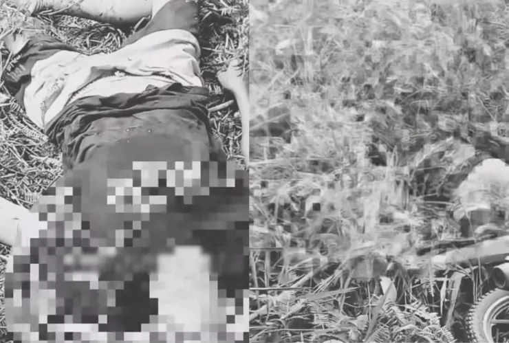 Pitón de 7 metros estrangula y mata a un granjero en Luwu Oriental, Indonesia