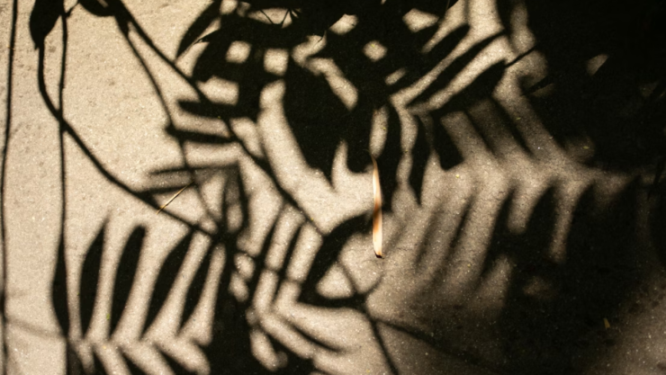 Día sin sombra 2026: ¿se podrá ver en Baja California este fenómeno?