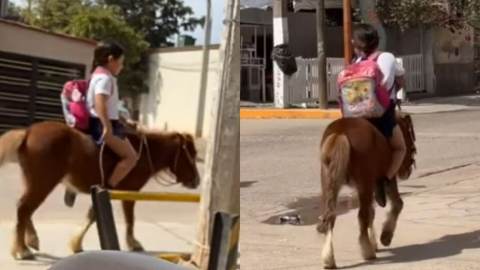 niña montada en pony guasave