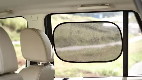 Encuentran a familia muerta en su auto por calor en Tabasco