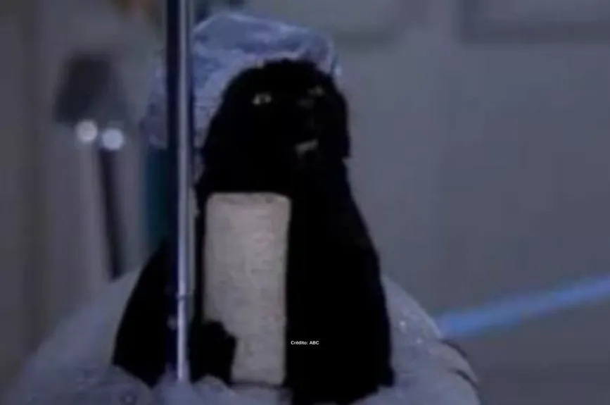 salem-saberhagen-sabrina-la-bruja-adolescente