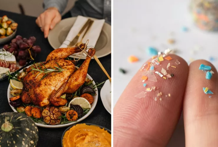 Aunque no lo notes, tu comida puede estar llena de micropl&aacute;sticos