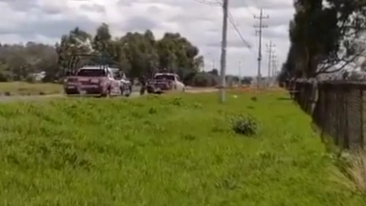 atropellado carretera federal méxico puebla