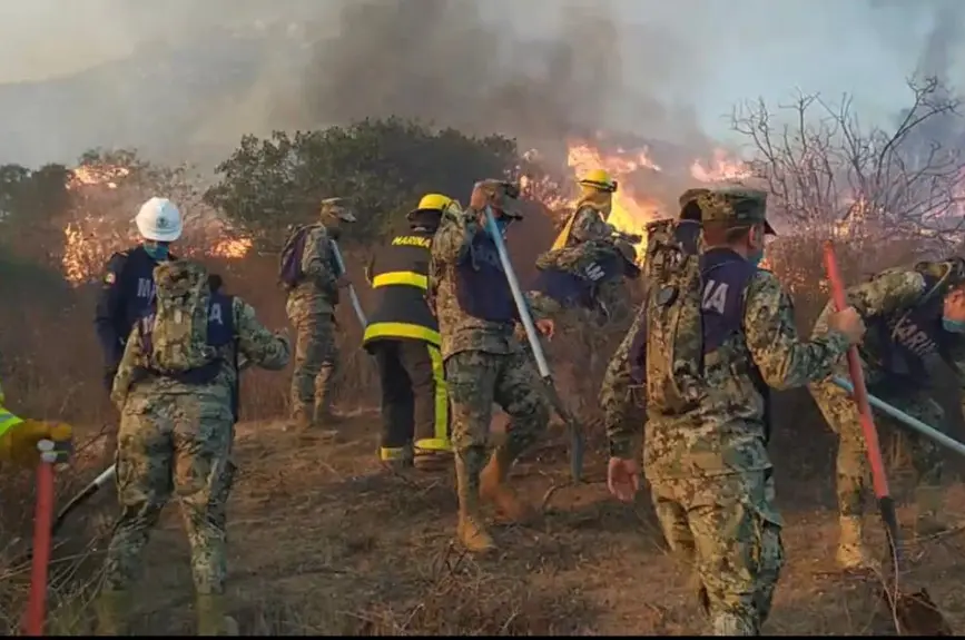 Al momento hay 1,645 personas evacuadas y 3 refugios activos. La mayor afectación se reporta en Ensenada (5,000 hectáreas) y Tecate (1,250 hectáreas).