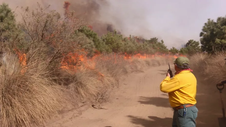 Incendio forestal_Gobierno del Estado de México.jpg