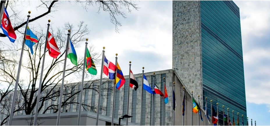 Foto 3 onu.png