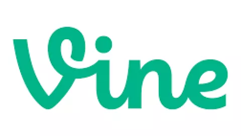 Vine