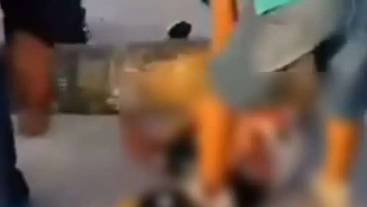 ¡Alarmante! Enorme CEIBO cae sobre HOMBRE en plena fiesta patronal en Yucatán