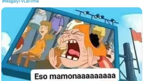 Usuarios en redes sociales aplauden acciones de orca Gladis