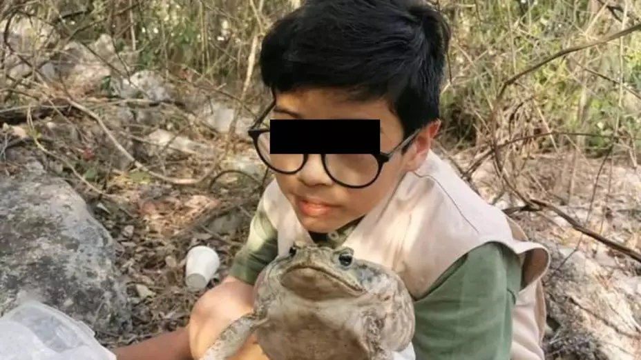 Hay un niño rescatista de sapos y ranas en Mérida