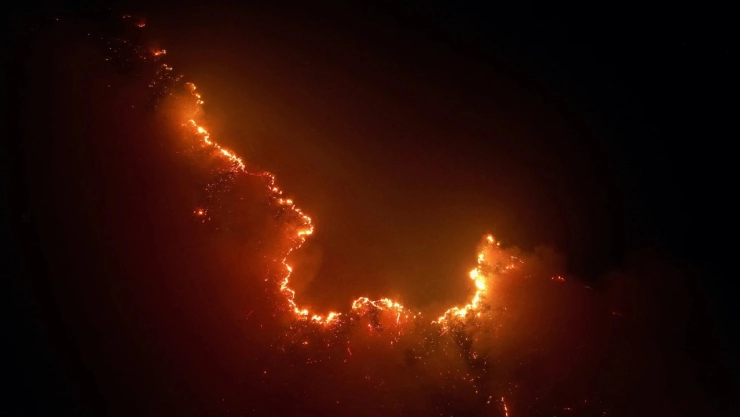 Incendios forestales causan grave daño ambiental