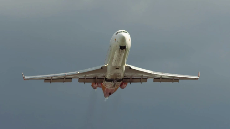 Incidente aéreo con pasajera rebelde en EUA marzo 2025.jpg