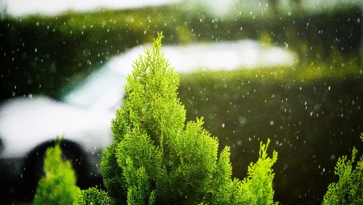 Clima en Querétaro hoy