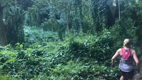 Mujer capta a demonio en selva de Hawái y se viraliza; FOTOS