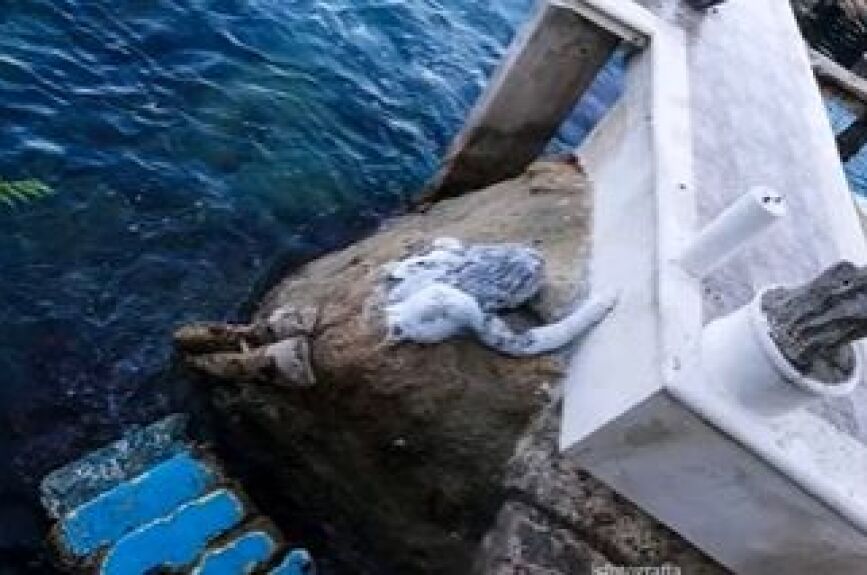 Por qué dicen que la esposa de Cantinflas era una sirena