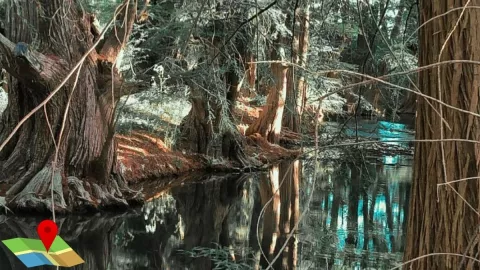 El balneario oculto en Durango con bosques ancestrales y termas naturales que debes conocer.jpg