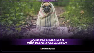 WhatsApp Image 2025-11-17 at 12.39.05 PM.jpeg