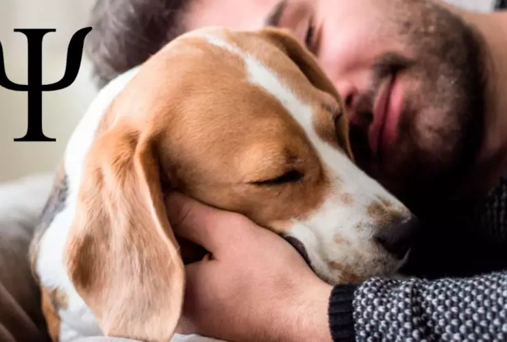 que-significa-alguien-gusten-mucho-perros-segun-psicologia-pbg-notas-mt