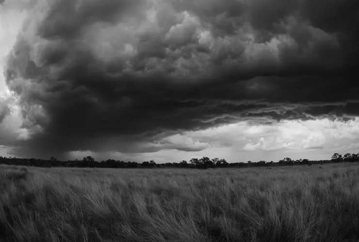 Tormenta negra México