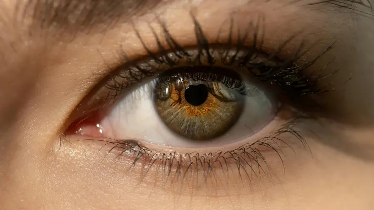 Los licuados que puedes tomar para cejas y pestañas tupidas