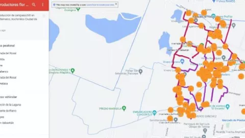 Crean mapa de la flor de cempasúchil en CDMX para comprar directo a productores