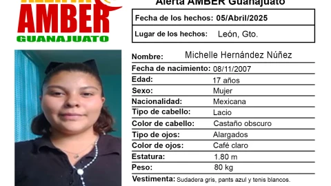 Desaparecidos Guanajuato ¿Quién es Michelle Hernández Núñez y qué se sabe de su desaparición.png