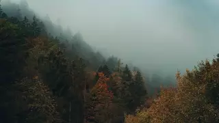 Clima en Morelos hoy