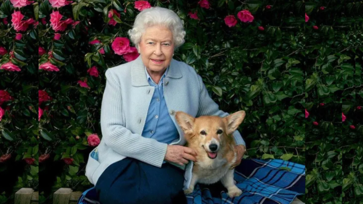 &iquest;Qui&eacute;n se qued&oacute; los perros corgi de la Reina Isabel II tras su muerte?.jpeg