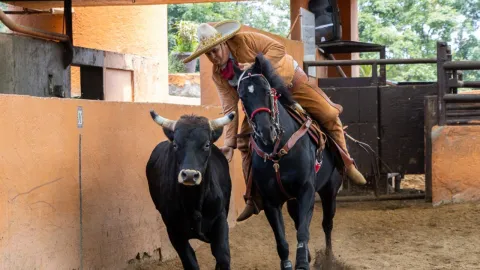 nueve-suertes-charras-un-charro-montado-caballo