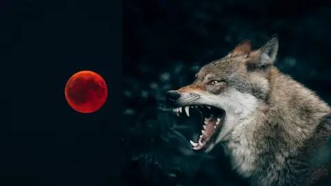 Eclipse lunar 2025_ ¿El hombre lobo saldrá hoy 13 de marzo de 2025