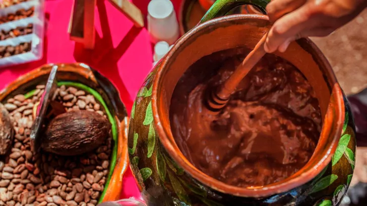 cacao en grano y en bebida