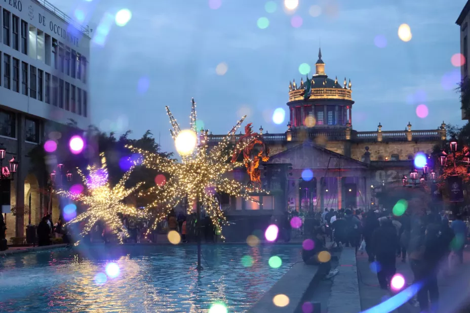 53540206444_5feef65f57_o (1).jpg