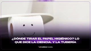 Dónde tirar el papel higiénico.