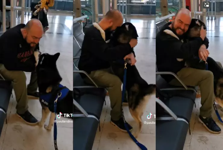 reencuentro perrito y dueño