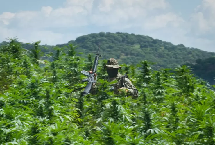 ¿Cuáles son los principales cárteles de droga en México, según la DEA?