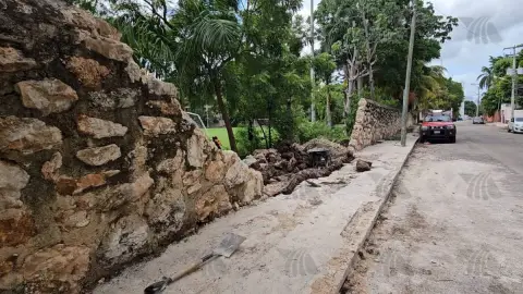 Reportan daños en el muro del seminario mayor de Itzimná tras las fuertes lluvias en Mérida
