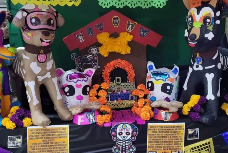 Día de Muertos 2024_ Este día se pone el altar a las mascotas