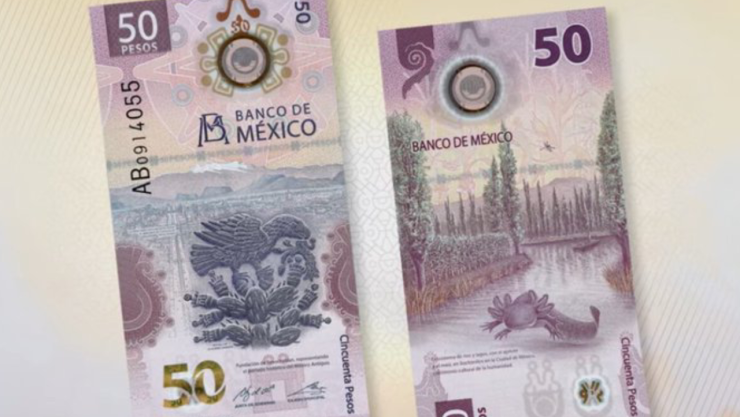 Billete de 50 pesos con el ajolote se vende hasta en 500 mil